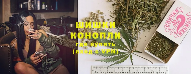 наркота  Выкса  Бошки марихуана SATIVA & INDICA 